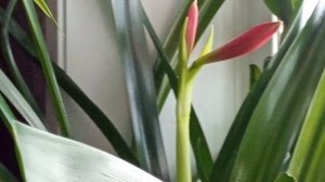 20 ДЕКАБРЯ 2025 Г.  ВОТ ЭТО ПОДАРОК!