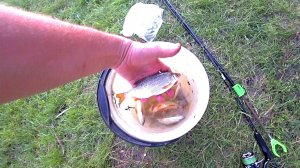 Рыбалка. Ночь на Мокше. Часть-2.