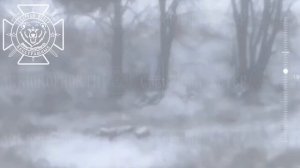 Движение не смотря на смерть. СВО.