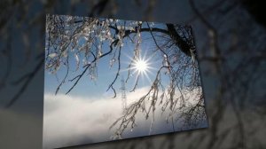 День_зимнего_солнцестояния