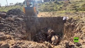 الهند.. مشاهد من مكان صدم قطار 7 أفيال برية