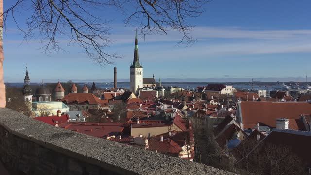 Таллин Вышгород, смотровая площадка #estonia #tallinn #travel #таллинн #эстония #baltics