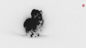 США провели акцию возмездия в Сирии