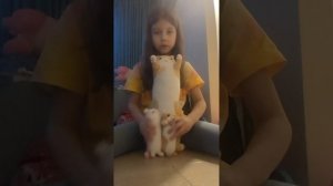 МОЯ ЛИЧНАЯ ЖИЗНЬ