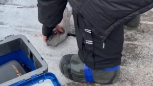 20.12.25 г. РК Волна.