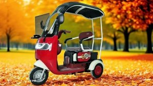 Электрический трицикл S800