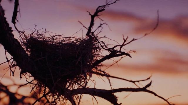 ДВА БЕРЕГА слова Евы Даль