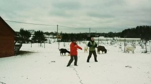 минус "школа ном.7"