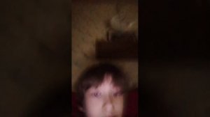 Стрим от крипа