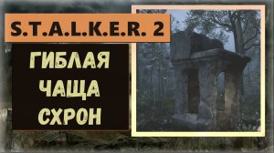 S.T.A.L.K.E.R. 2: Heart of Chornobyl Как найти вход в схрон «Гиблой чащи»