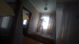 VID_20251215_151507.3gp