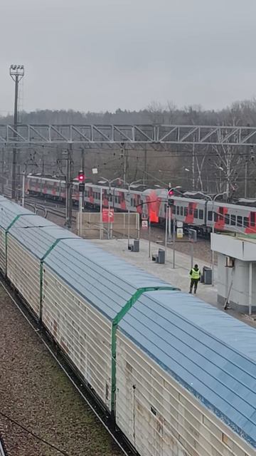 ЛАСТОЧКА ПРОЕЗЖАЕТ СТАНЦИЮ ГОЛИЦЫНО.