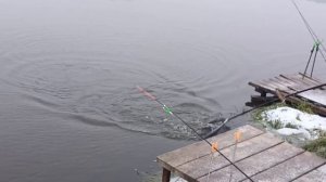 VID_20251220_102511_354