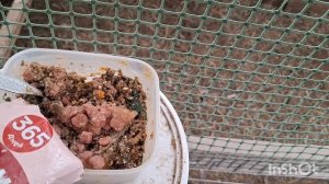 У породных кур опять проблема. Снега навалило, можем выслать бесплатно.😂