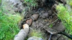 Металлокоп!!! Просто еду отдышаться