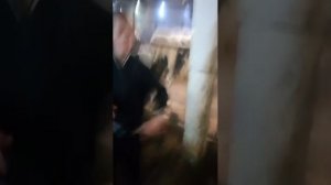 пена из бутылки