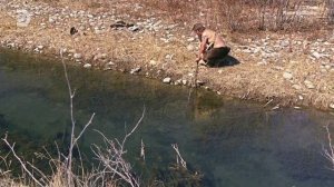 Голые и напуганные XL 9 сезон 5 серия (реалити-шоу, 2022)