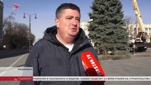 На Площади Свободы установили главную новогоднюю ёлку