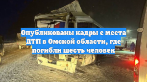 Опубликованы кадры с места ДТП в Омской области, где погибли шесть человек