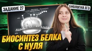 Задание 27 | Биосинтез белка с нуля | Биология ЕГЭ | Умскул
