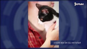 Клуб Шико. Выпуск от 20.12.25