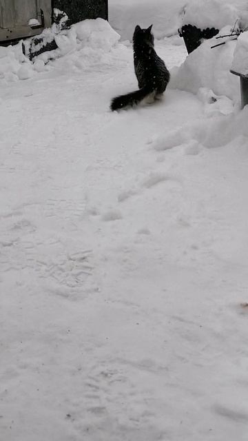 На прогулке смотреть онлайн