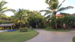 🌴 Шри-Ланка — Собираемся на экскурсию