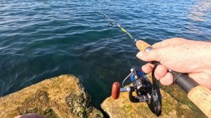 Морская рыбалка!Крым-Симеиз!Горы Кошка и Ай-Петри! Отличный отдых!