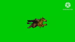 Грифон летит футаж