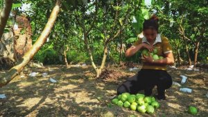 Дуонг. Мама поневоле. Строю сарай, собираю гуаву для подажи, покупаю обежду дочке. 17 серия