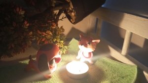 лпс сериал лагерь серия 1 ( видео от бабл гам )