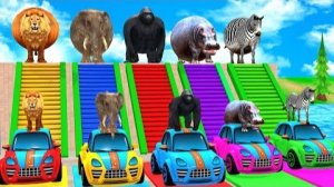 (Обучающее видео) Учите цвета с игрушками для детей