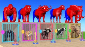 Веселые игры с слоном, гориллой, бегемотом, тигром - 3D игра с животными - Забавные 3D животные