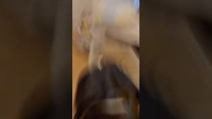 моё последнее видео