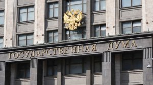 В Госдуме раскрыли, как самозанятость позволила легализовать доходы работников