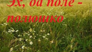 ЭХ, ДА ПОЛЕ-ПОЛЮШКО