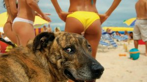 Эпичные Промахи: Смех до Слёз Гарантирован! 🤣