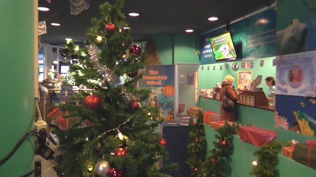 Oceanarium in Helsinki 2013 New year