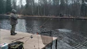 Поимки форели на стационарные снасти в нижнем горизонте. Клёвое место, Лосиный остров, верхний.