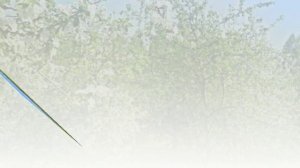 КОНТРАСТЫ МОЕЙ СТРАНЫ И снова хмурится небо...