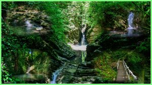 Крабовое ущелье 2025