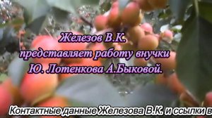 Железов В.К. представляет работу внучки Ю. Лотенкова А.Быковой.