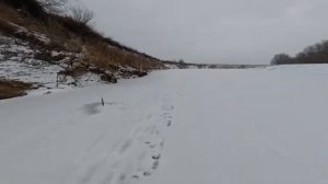 Сработка за сработкой! Зимняя рыбалка на жерлицы с ночёвкой. #рыбалка #72 #первый #лед #жерлицы #виб