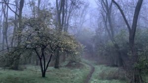 ОДЕССА 20 ДЕКАБРЯ 2025. РЕАКЦИЯ ОДЕССИТОВ НА «ПОМОЩЬ» ОТ Е