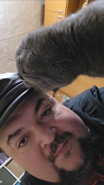 По традиции отправляю новогодние подарки в Курск #Курск #Яндекс #яндексдоставка смотреть онлайн