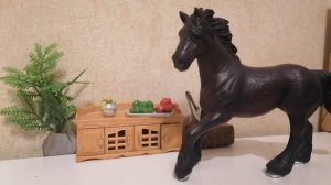 Интервью с авангард// рубрика интервью// лошади шляйх// Karmen studio