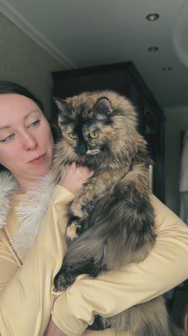 что будем делать и смотреть с семьей на новогодних праздниках смотреть онлайн