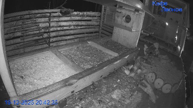 🔴 24 LIVE Кормушка смотреть онлайн