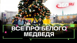 Викторина от Роснефти: кто победил в прямом эфире?