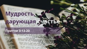 Мудрость, дарующая счастье | Притчи 3:13-20 | Олег Шейда